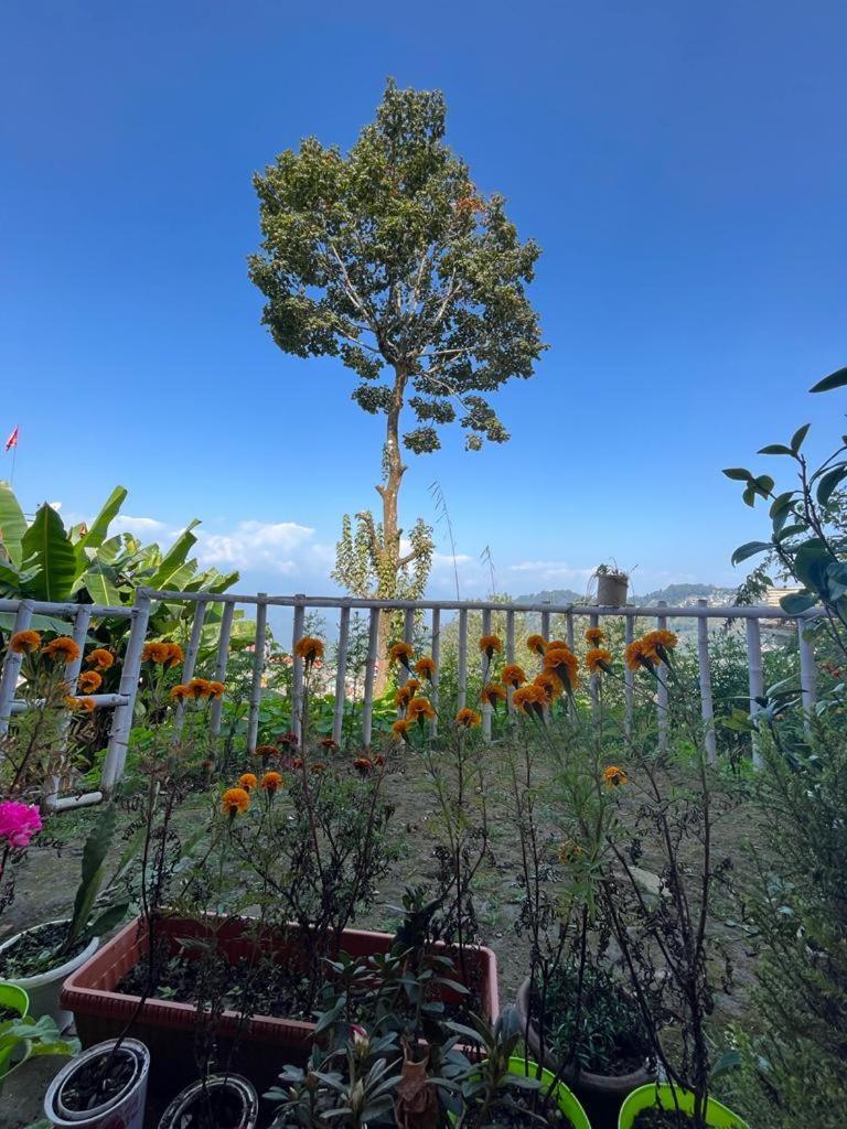 Darjeeling Bnb Luaran gambar